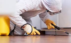 Best Real Estate Pest Inspections  in Roseburg Nth, OR